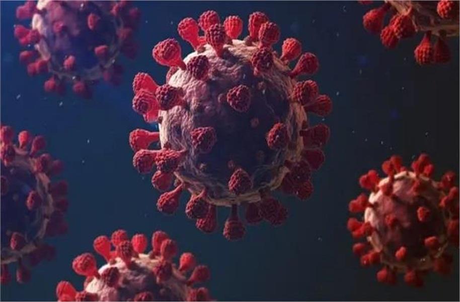 163 cases of new COVID-19 variant XFG found in India