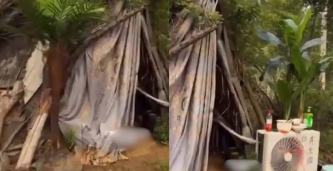 What did you see in the video? Seeing the hut of this man, everyone wants to become poor like him