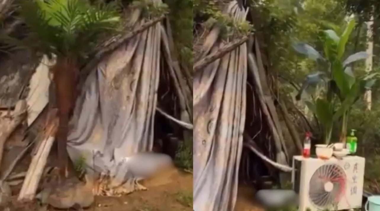 What did you see in the video? Seeing the hut of this man, everyone wants to become poor like him