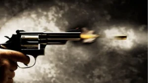 Mother had extended invitations for her younger son's wedding; in Faridabad, an enraged husband shot his wife over their son's love marriage.