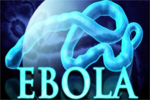 'Special Isolation Wards' to be Set Up in Faridabad Hospitals; District on Alert Following WHO Warning on Ebola Virus