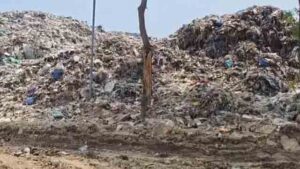 New company to be finalized in 10 days; Faridabad waste disposal agency blacklisted even before starting work.